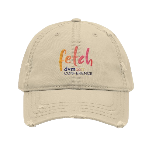 Fetch Distressed Dad Hat