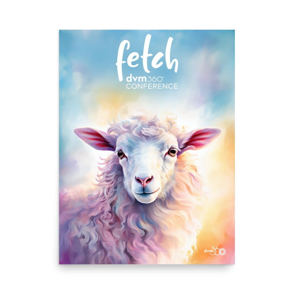 Poster - Long Beach Sheep