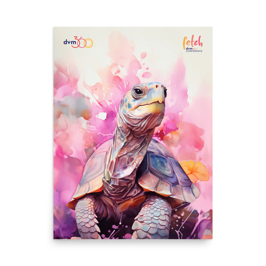 Poster - Charlotte Turtle
